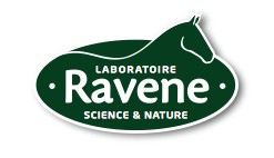 Ravene